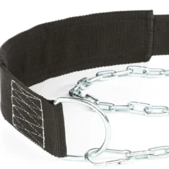 ATX Dip Belt