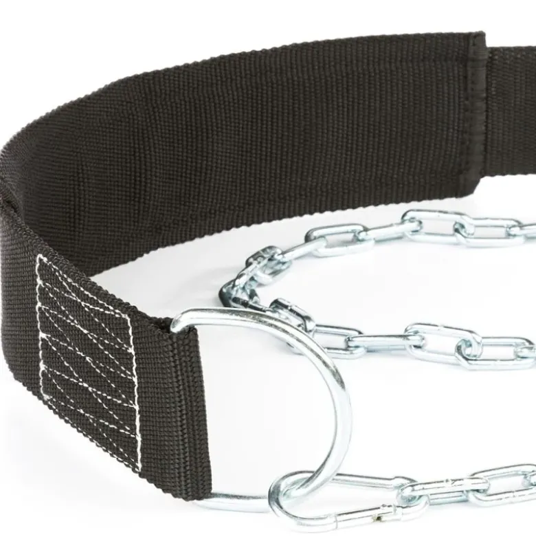 ATX Dip Belt