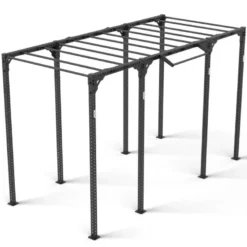 ATX Functional Rig 700 -⁠ Ladder