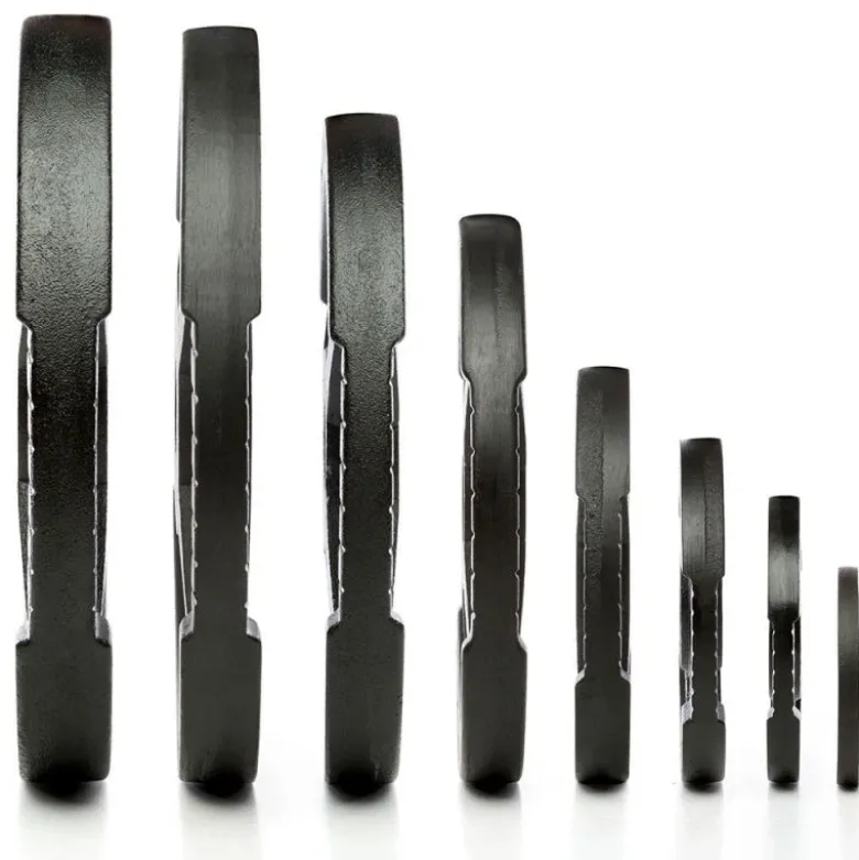 ATX Gietijzeren 2-Grip Halterschijven 30 mm