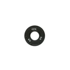ATX Gietijzeren Halterschijven 50 mm