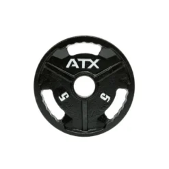 ATX Gietijzeren Halterschijven 50 mm