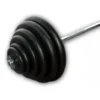 Gietijzeren Halter Set 117,5kg